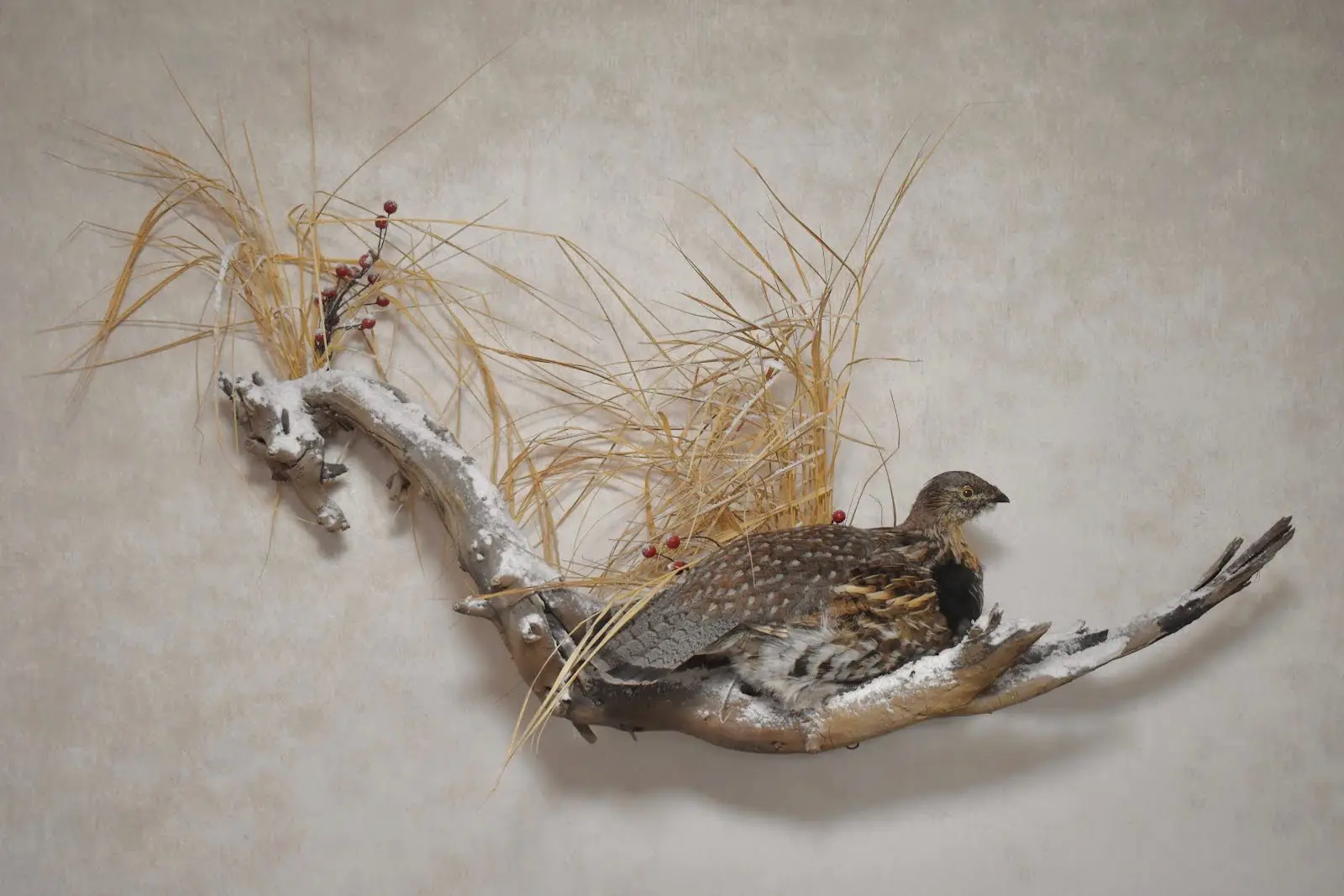 Upland Game Birds
